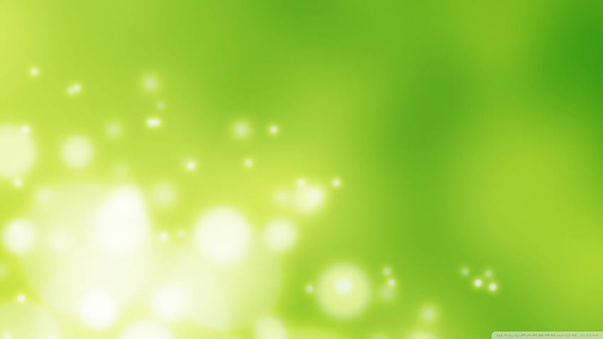 Grüner Hintergrund für , grünlich HD-Hintergrundbild
