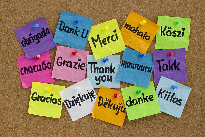 Words, Multicolored, Buttons, Board, Lots Of, Multitude, Stickers, Thank You, Languages HD wallpaper