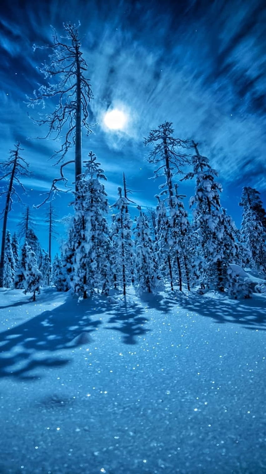 Snow, Night Snowfall HD phone wallpaper