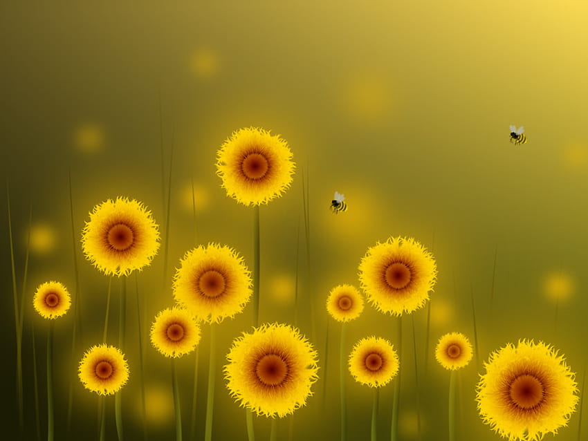 Bidang Bunga Matahari, sinar matahari, cahaya, bidang, kuning, indah, matahari, bunga matahari, selamanya Wallpaper HD