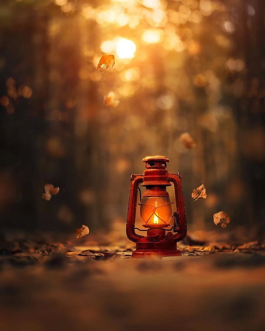 Je crée de la magie avec ma vieille lanterne. Vieilles lanternes, graphie d'automne, magique, lanterne à huile Fond d'écran de téléphone HD