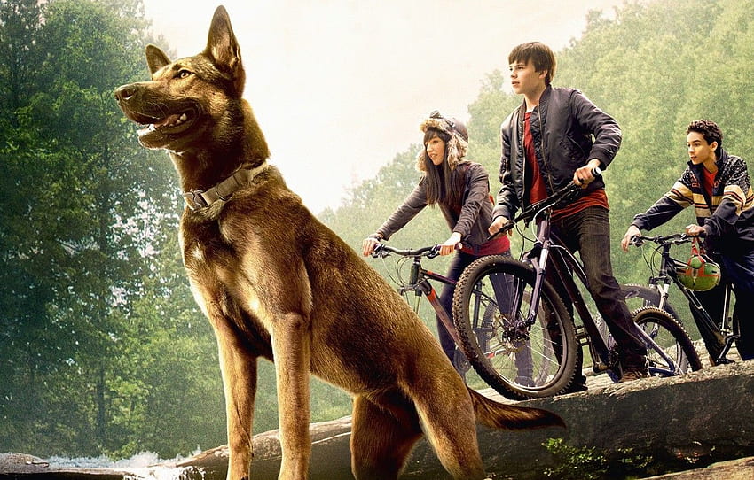 映画、女の子、森、子犬、自転車、木、犬、岩、男の子、滝、映画、石、映画、マックス、真珠、冒険、セクション 高画質の壁紙