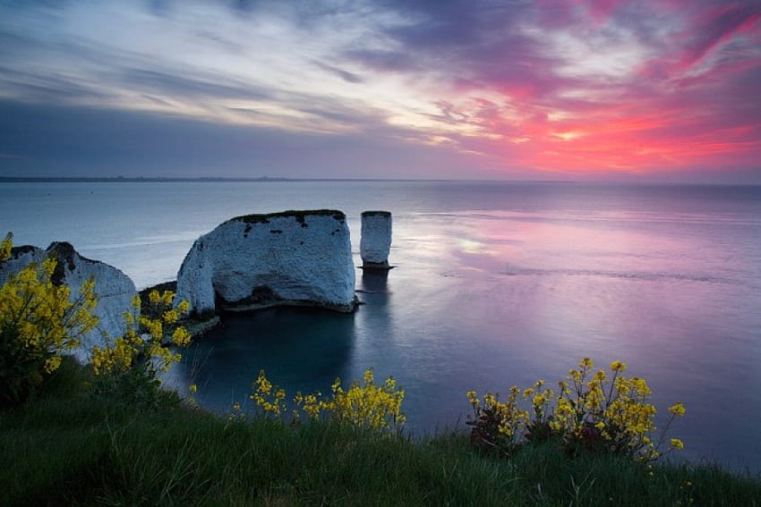 Dorset Chalk Cliffs Sunset, azul, mar, rosa, Dorset, Inglaterra, puestas de sol, acantilados de tiza, cielo, naturaleza fondo de pantalla