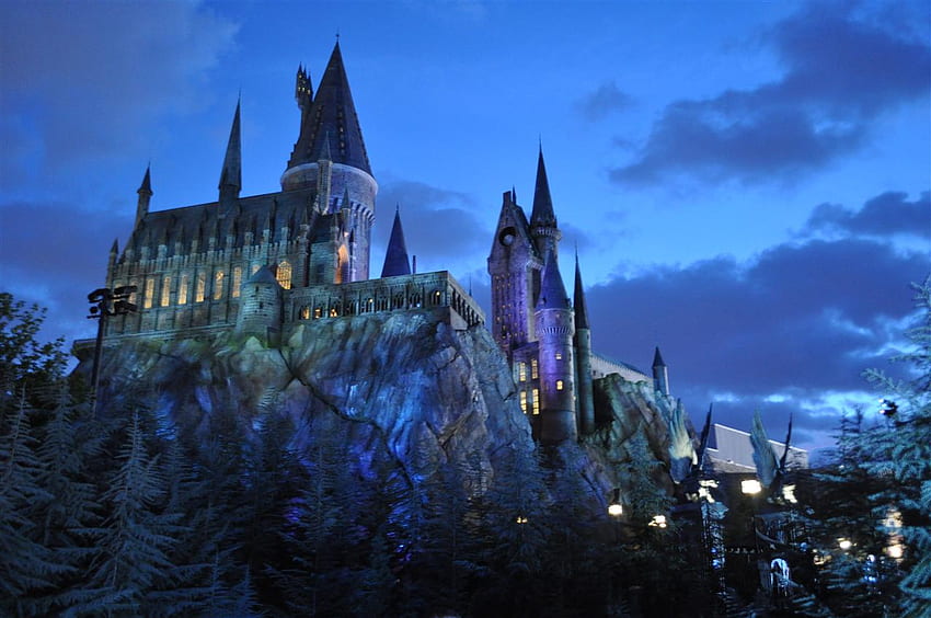 Harry Potter Harry Potter, szkoła Hogwart Tapeta HD