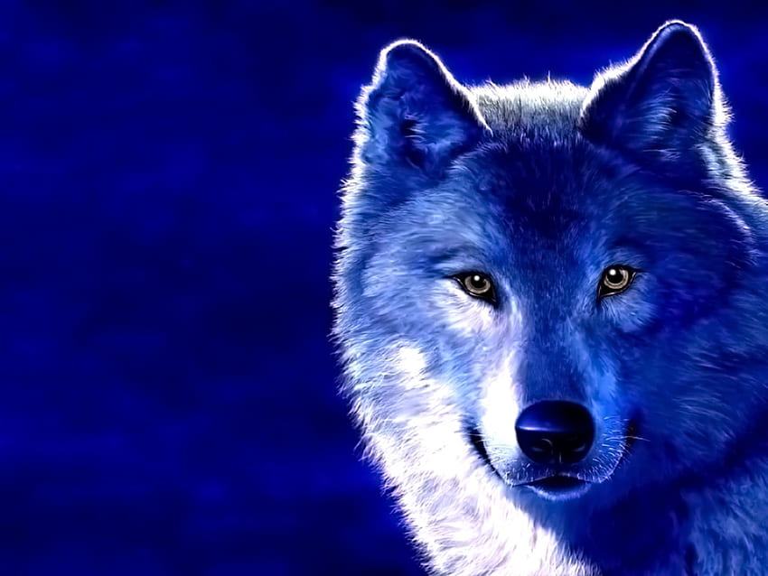 Animals, Wolfs HD wallpaper