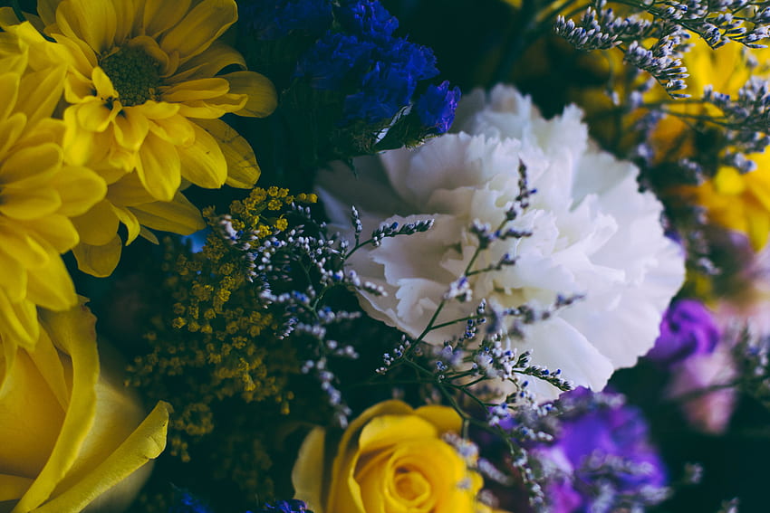 Kwiaty, Wielobarwny, Motley, Bukiet, Skład Tapeta HD