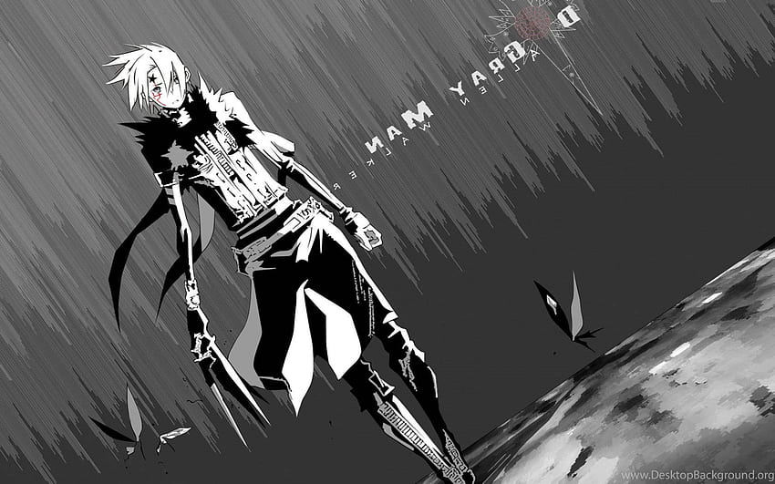 D.Gray Man 26 2560 X 1600, Dgrayman HD wallpaper | Pxfuel