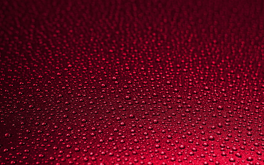 water drops pattern, , macro, water drops texture, purple water background, water drops, background with water drops HD wallpaper