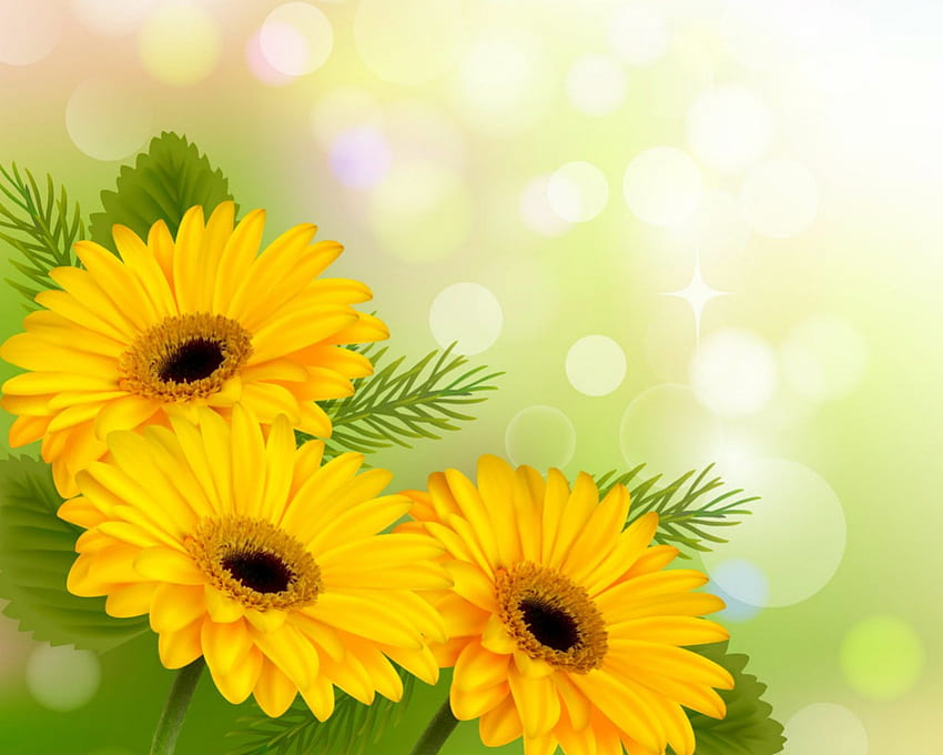 Żółte kwiaty, bokeh, natura, kwiaty, kolor żółty Tapeta HD
