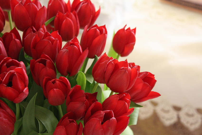Flowers, Tulips, Bouquet, Handsomely, It's Beautiful HD wallpaper