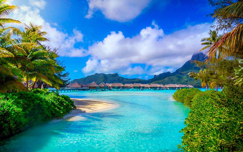 Bora Bora, Polinesia francese, Natura, Paesaggio, Spiaggia, Mare, Palme, Isola, Resort, Estate, Tropicale, Montagna / mobile, Bora Bora Polinesia francese Sfondo HD