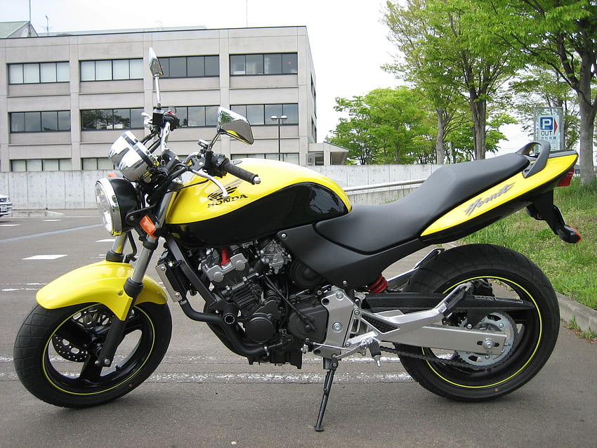Honda Hornet 250, bicicleta Hornet papel de parede HD