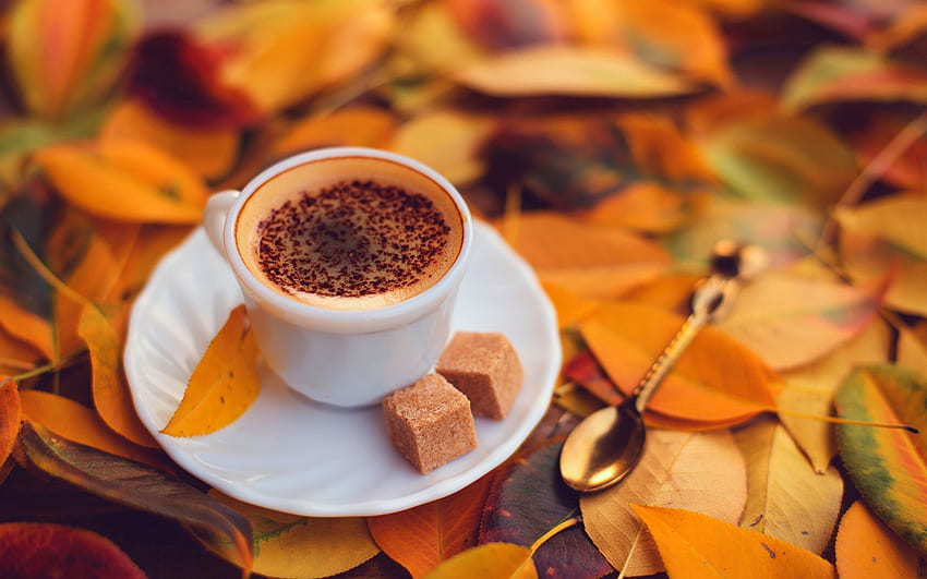 Coffee With Yellow Autumn Leaves - HD wallpaper
