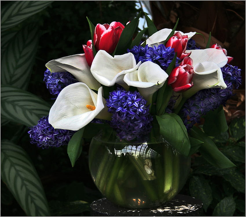Flowers Vase, blue, art , white, beautiful, still life, glass vase, red, flowers, water HD wallpaper