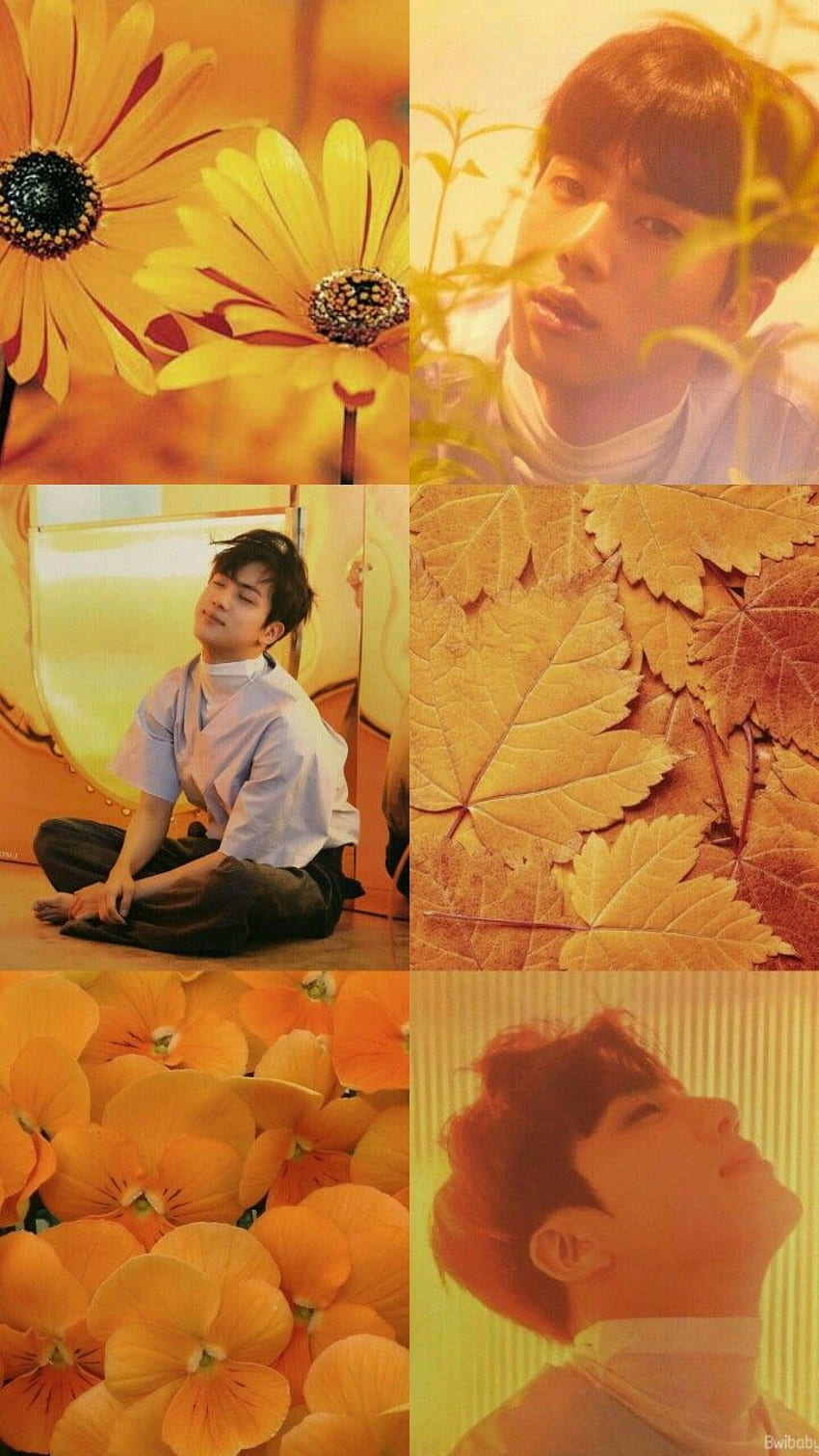 oranye kuning JIN 김석진 wallpaper ponsel HD