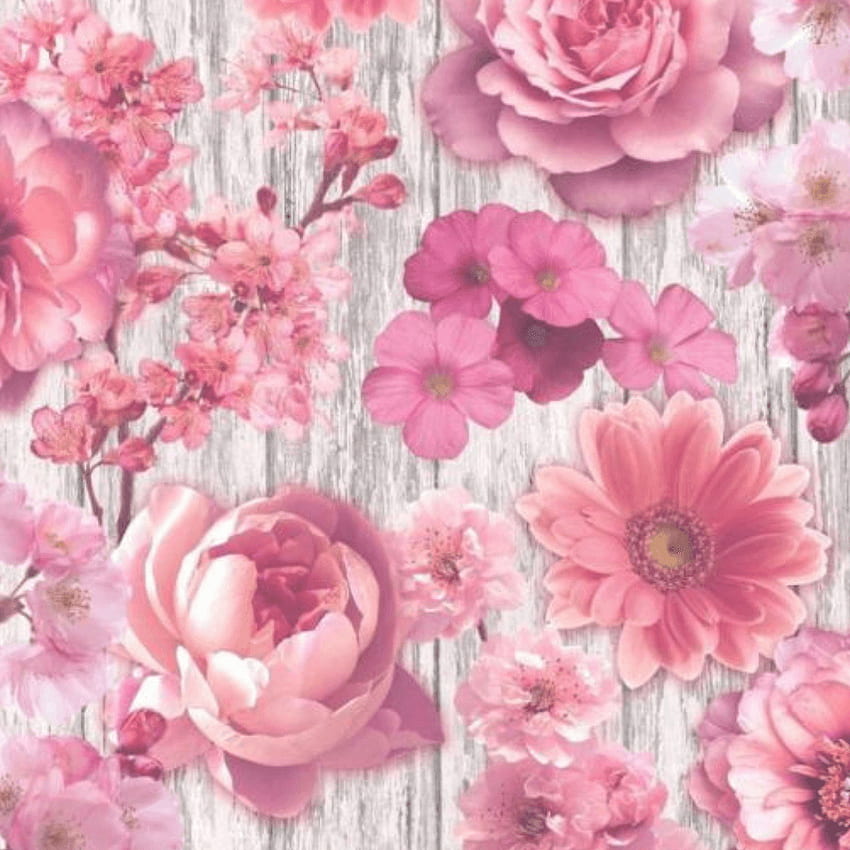 Rosas florais rosa Rasch em um fundo de casca vintage 270556 - Sem categoria da Depot UK Papel de parede de celular HD