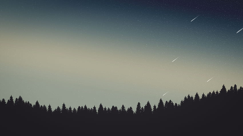 Open Sky Trees Shooting Stars , Artist, , , Background, and HD wallpaper