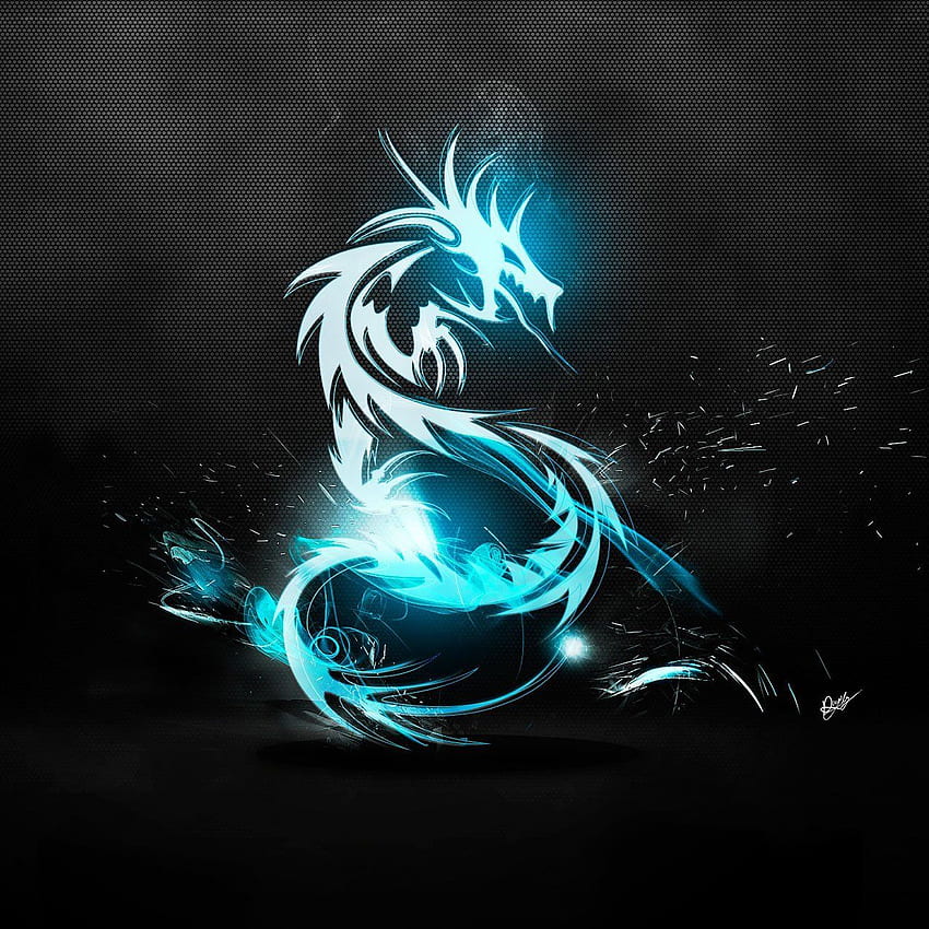 Dragon Google Nexus 7 Tablet and background [] for your , Mobile & Tablet. Explore Google Tablet . for Android Phones,, 1280X1280 HD phone wallpaper