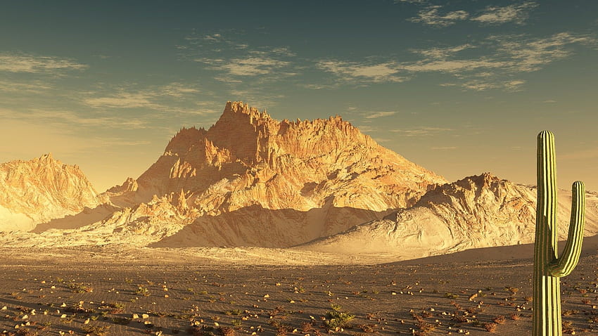 Brushes Tag : Sunshine Cactus Wonderful Mountain Sanoran, South West Desert HD wallpaper