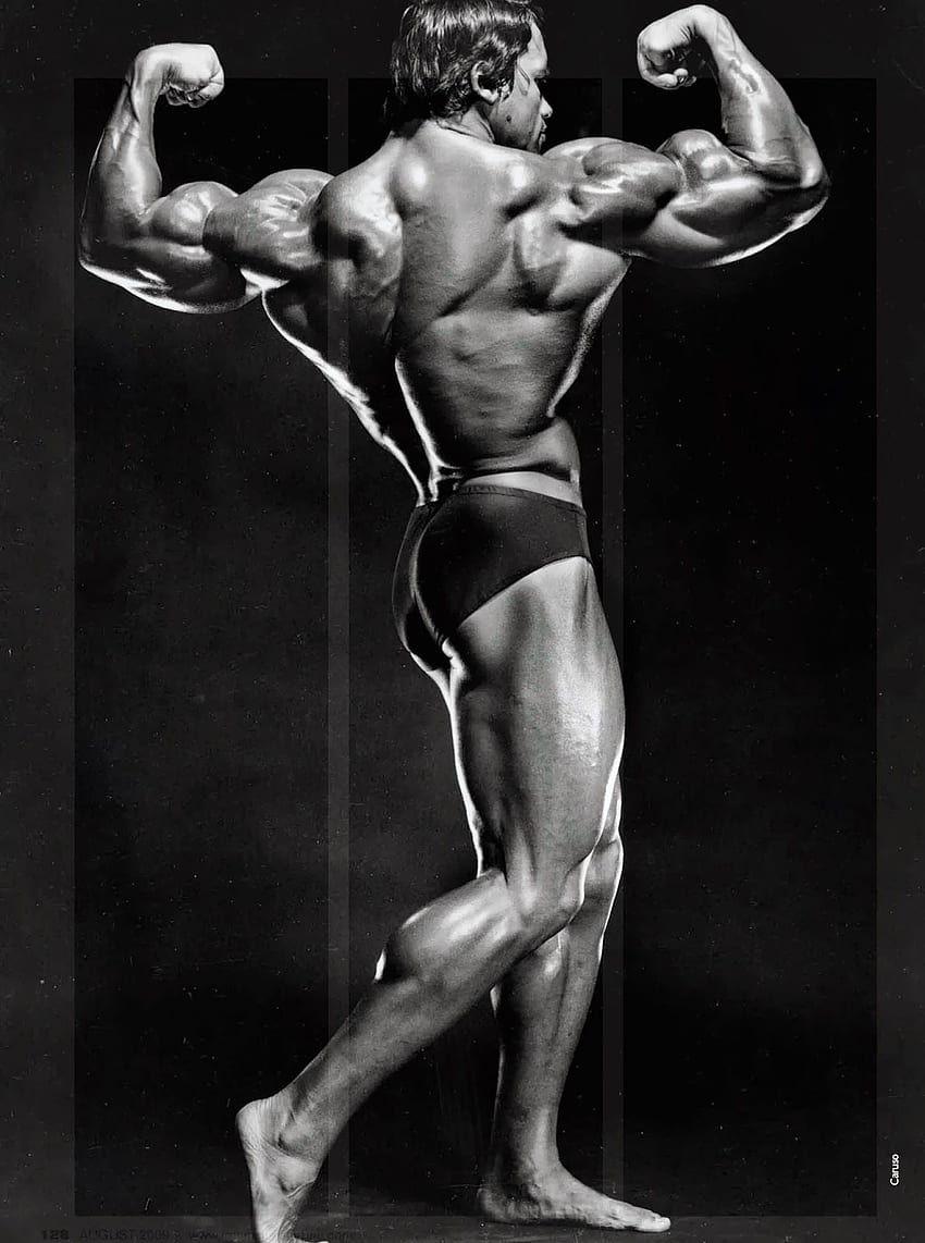 Arnold schwarzenegger bodybuilding HD phone wallpaper