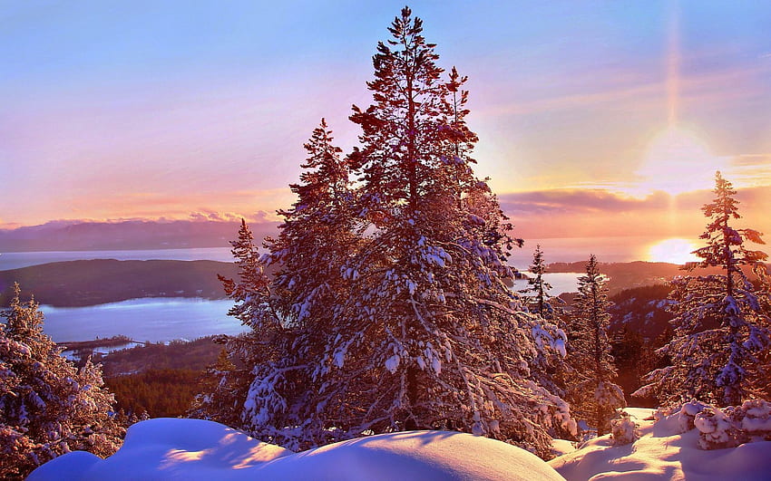 カナダ、日没、森、冬、吹きだまり 高画質の壁紙