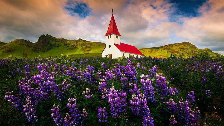 Spring in Norway, hills, field, landscape, clouds, sky, flowers, church ...