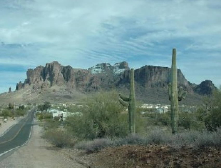 Wüstenkaktus, Wüste, Himmel, Straße, Natur, Kaktus HD-Hintergrundbild