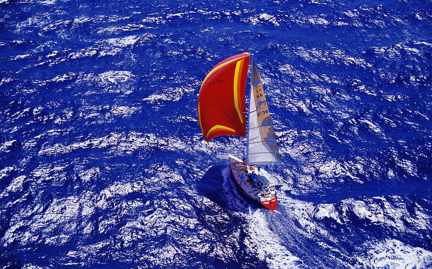 Barca a vela, mare, vento, barca, vela Sfondo HD