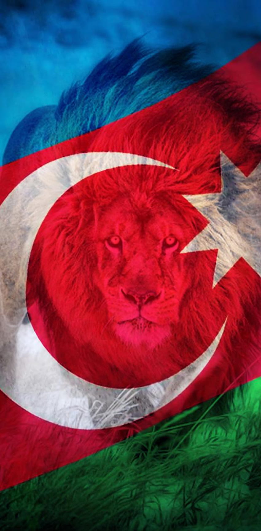 Lew z flagą Azerbejdżanu Tapeta na telefon HD