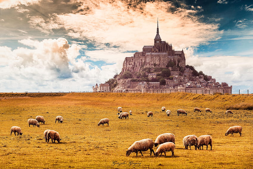 Mont Saint Michel, France :, Mont-Saint-Michel HD wallpaper