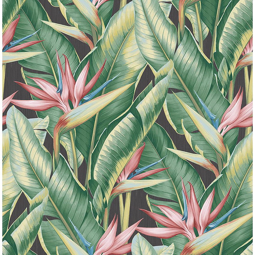 Kenneth James Arcadia Pink Banana Leaf Paper Strippable Roll (Meliputi 56,4 kaki persegi)-PS40201 - The Home Depot, Pink Tropical Leaves wallpaper ponsel HD