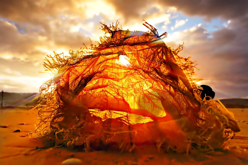 fantasy tent, fantasy, amber, tent, orange, beach HD wallpaper