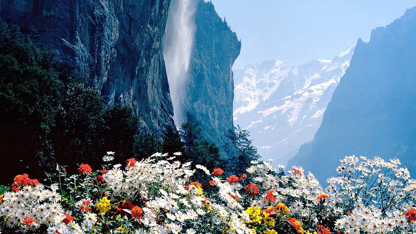 Nature, Flowers, Mountains, Break, Precipice HD wallpaper