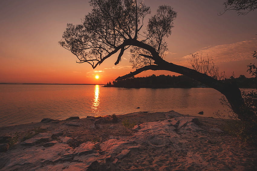 ธรรมชาติ แม่น้ำ พระอาทิตย์ตก ชายฝั่ง ธนาคาร ไม้ ต้นไม้ วอลล์เปเปอร์ HD