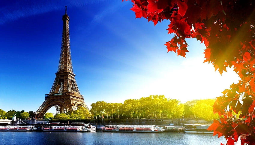 France Photos Download The BEST Free France Stock Photos  HD Images