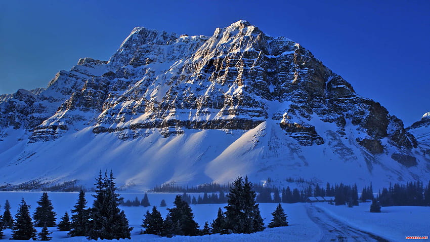 Bow Lake Banff Ulusal Parkı U'daki Karlı Dağlar, Karlı Dağ HD duvar kağıdı