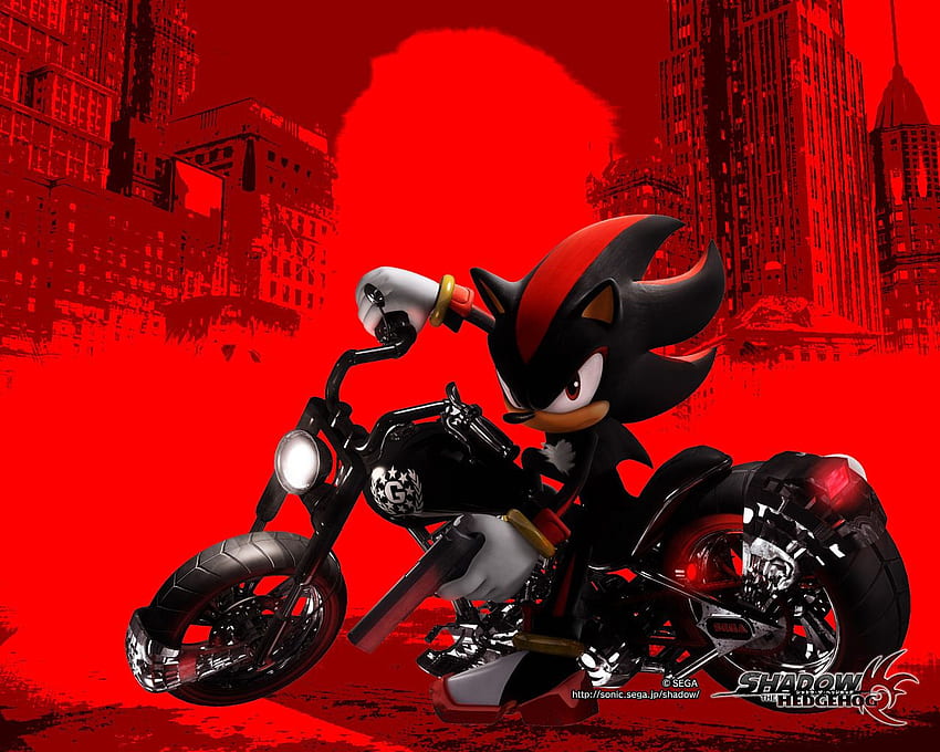 Shadow Sonic and Shadow 8418034 [] for your , Mobile & Tablet. Explore Dark Sonic . Sonic The Hedgehog , Sonic , Super Sonic, Red Sonic HD wallpaper