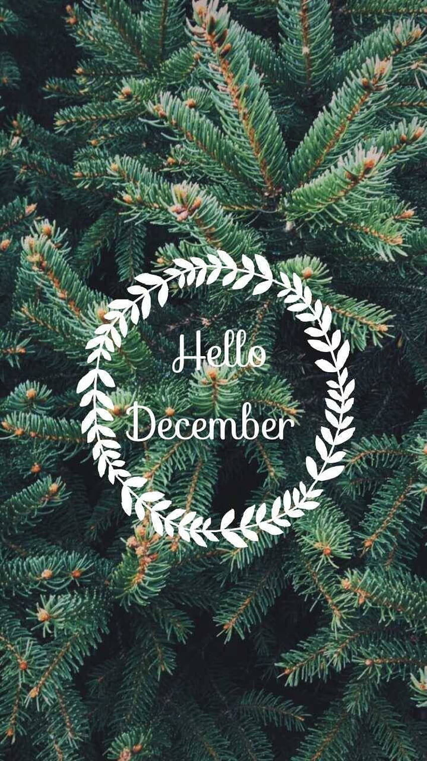 Cerita Selamat Datang. Desember, Halo Desember, latar belakang Natal wallpaper ponsel HD