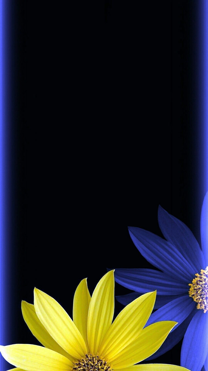 Blue yellow black floral . in 2019. flower. Black floral , Flower phone , Galaxy s8 HD phone wallpaper