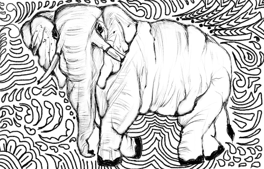 Zen Elephant Doodle, animale, scarabocchio, zentangle, elefante Sfondo HD