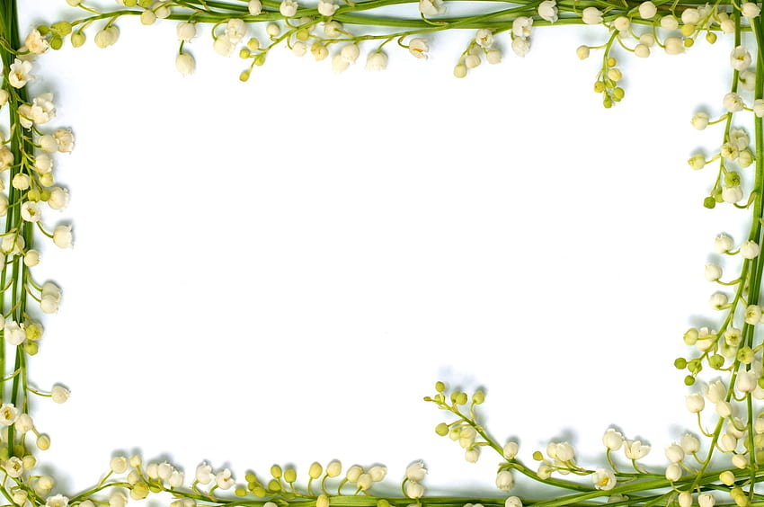Kwiat Obramowania Wzrosła, Pogrzebowe Kwiaty Tapeta HD
