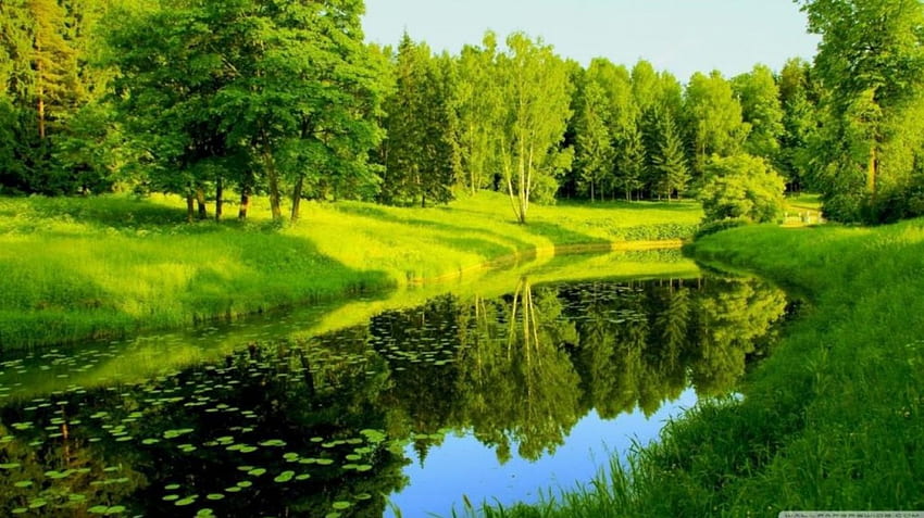 •Été•, scène, paysage, , printemps, lac, été, reflet, vert, nature, , eau, forêt Fond d'écran HD