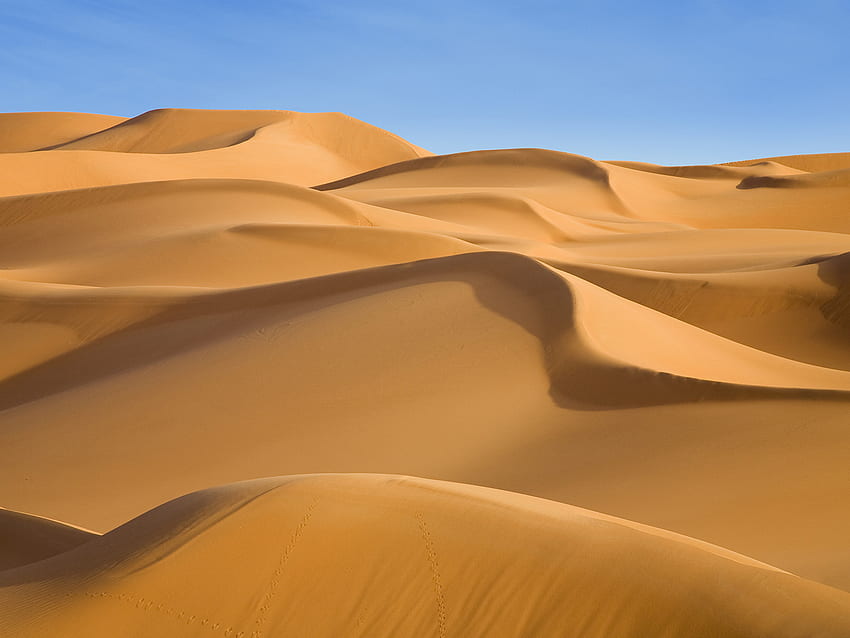 Sand Dunes, Beach Dunes HD wallpaper