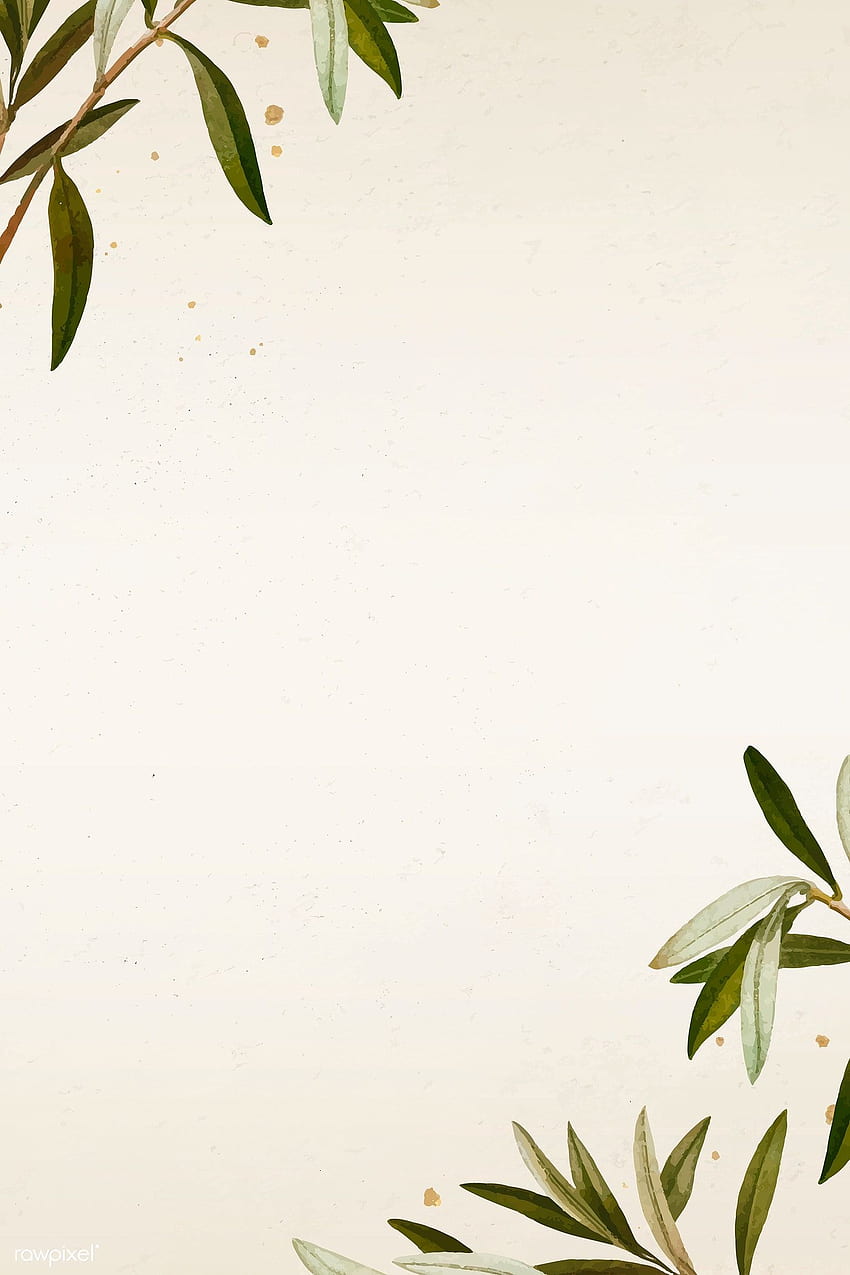 Olive branch, Flower background, Minimalist Olive HD phone wallpaper