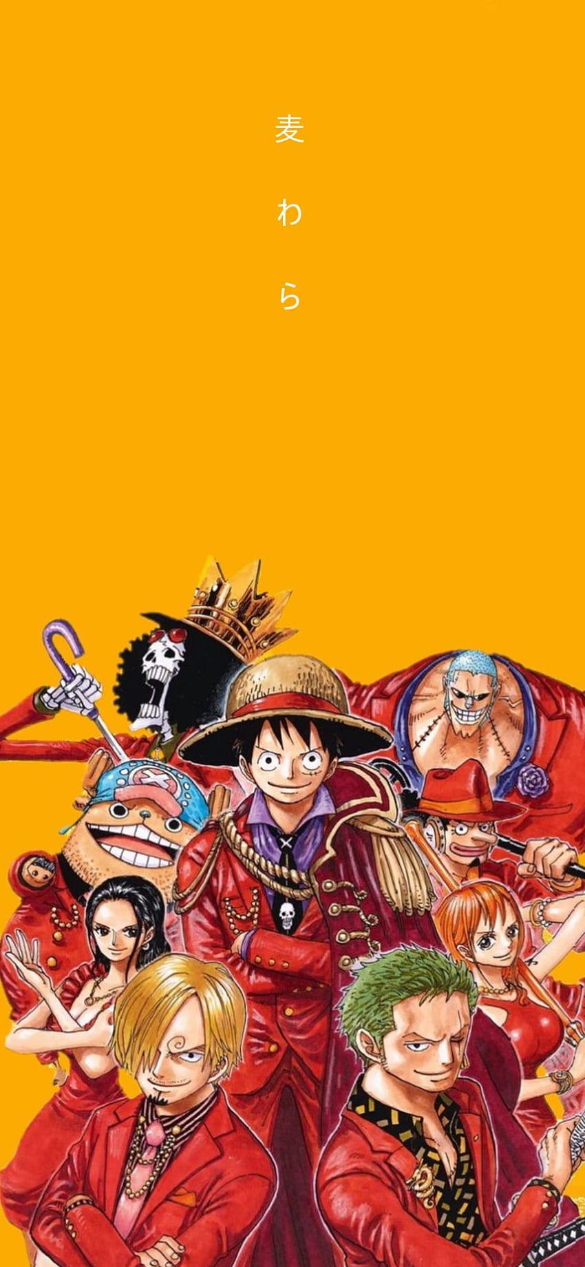 One Piece Anime, one piece, HD phone wallpaper