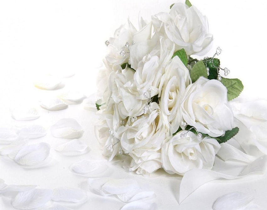 White roses, flowers, roses HD wallpaper