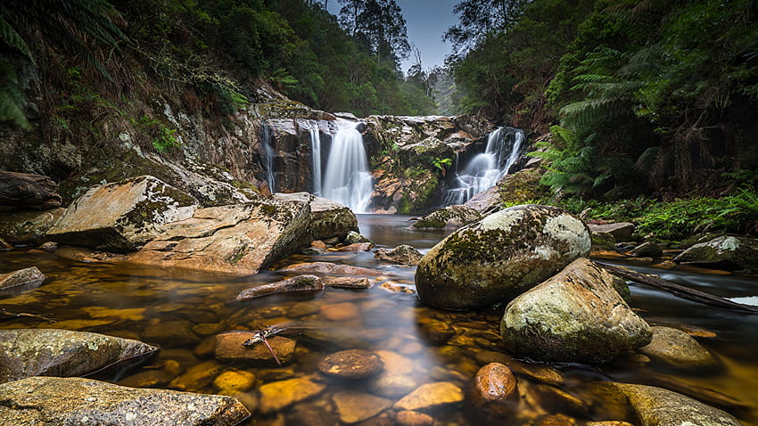 Bella natura Cascate Stream da roccia tra alberi verdi foresta natura Sfondo HD