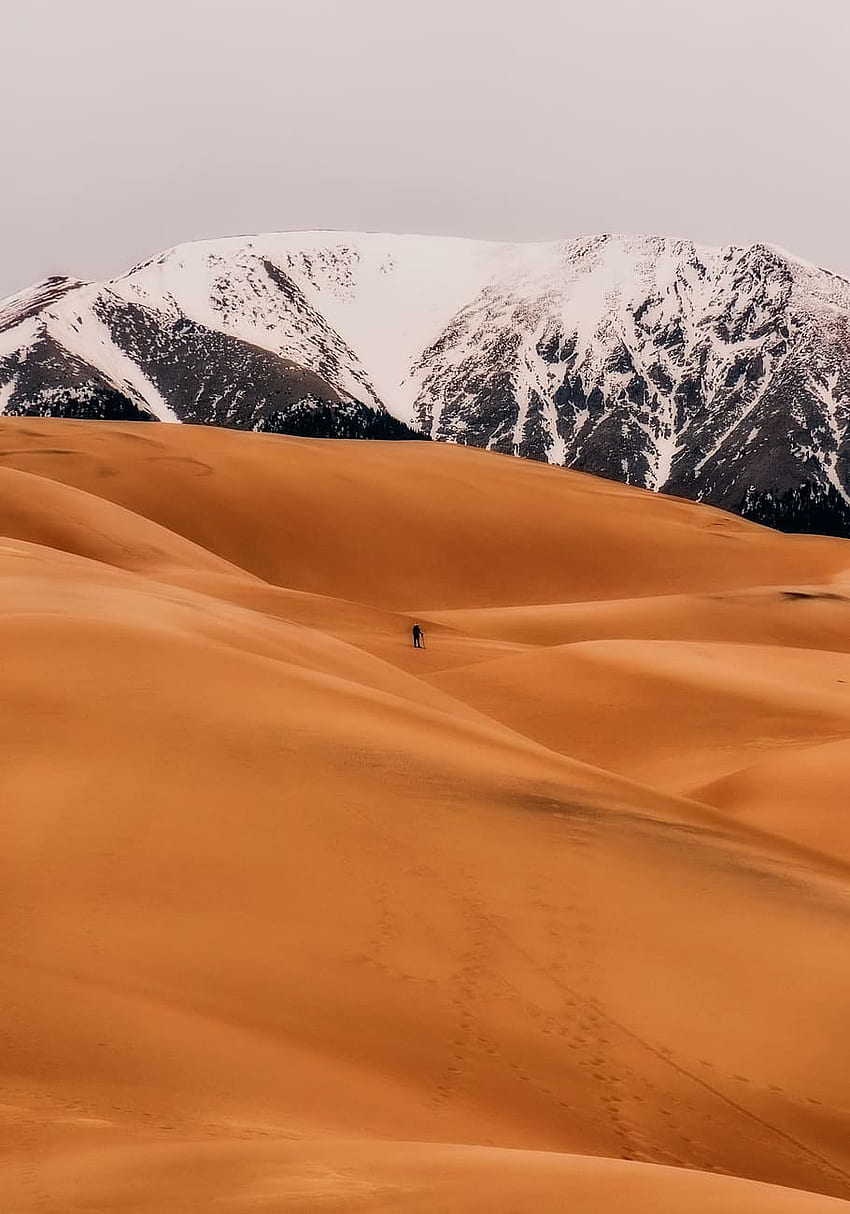 : große Sanddünen, Nationalpark, Tourismus, Berge, Schnee, Wüste, Stranddünen HD-Handy-Hintergrundbild