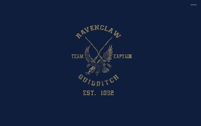 Ravenclaw-Quidditch-Team - Harry Potter jpg HD-Hintergrundbild
