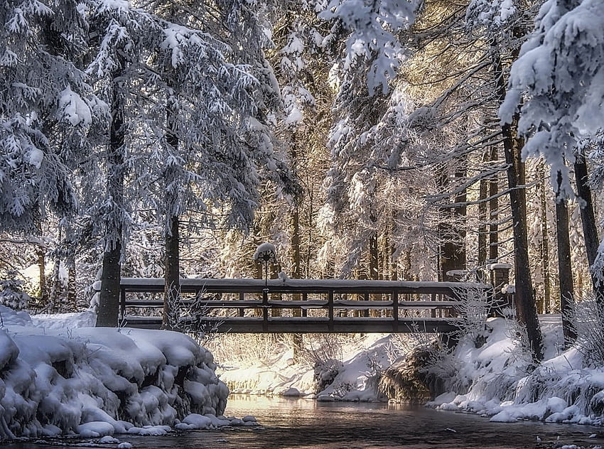 WINTER WALK BRIDGE, winter, creek, fwoods, bridge, nature, walk, park HD wallpaper